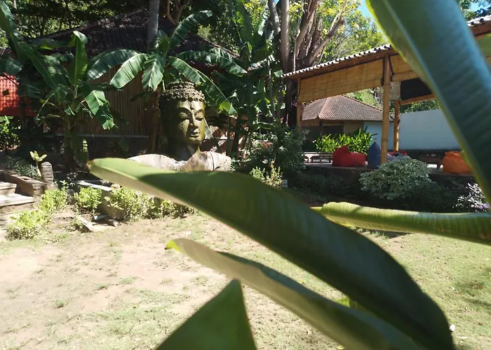 Ostello Ocean Prana Village *
